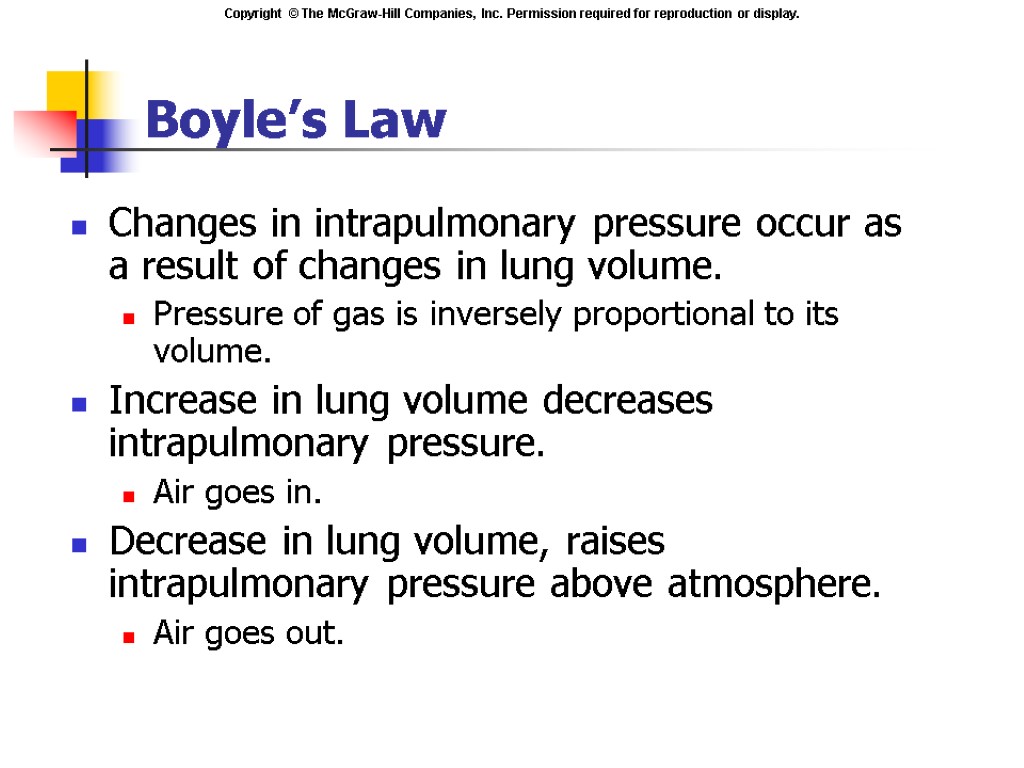 Boyle’s Law Changes in intrapulmonary pressure occur as a result of changes in lung